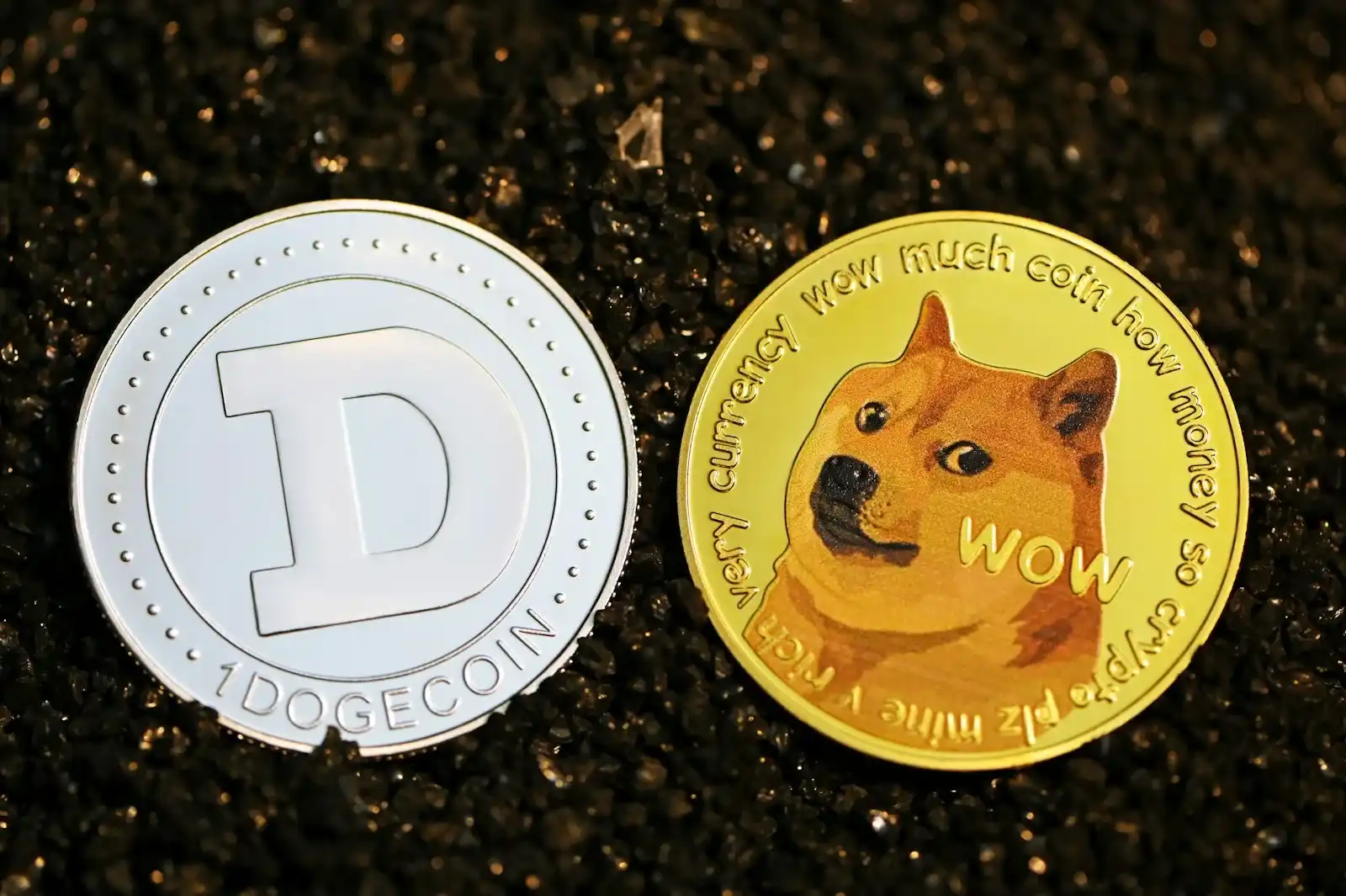 Both sides of a Dogecoin coin showing the D logo and Shiba Inu design